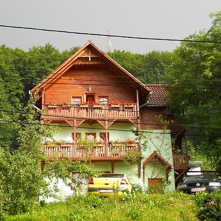Vila Anna Sovata Esterno foto