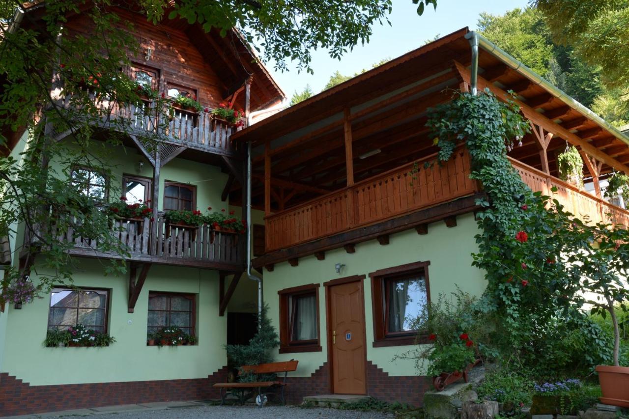 Vila Anna Sovata Esterno foto