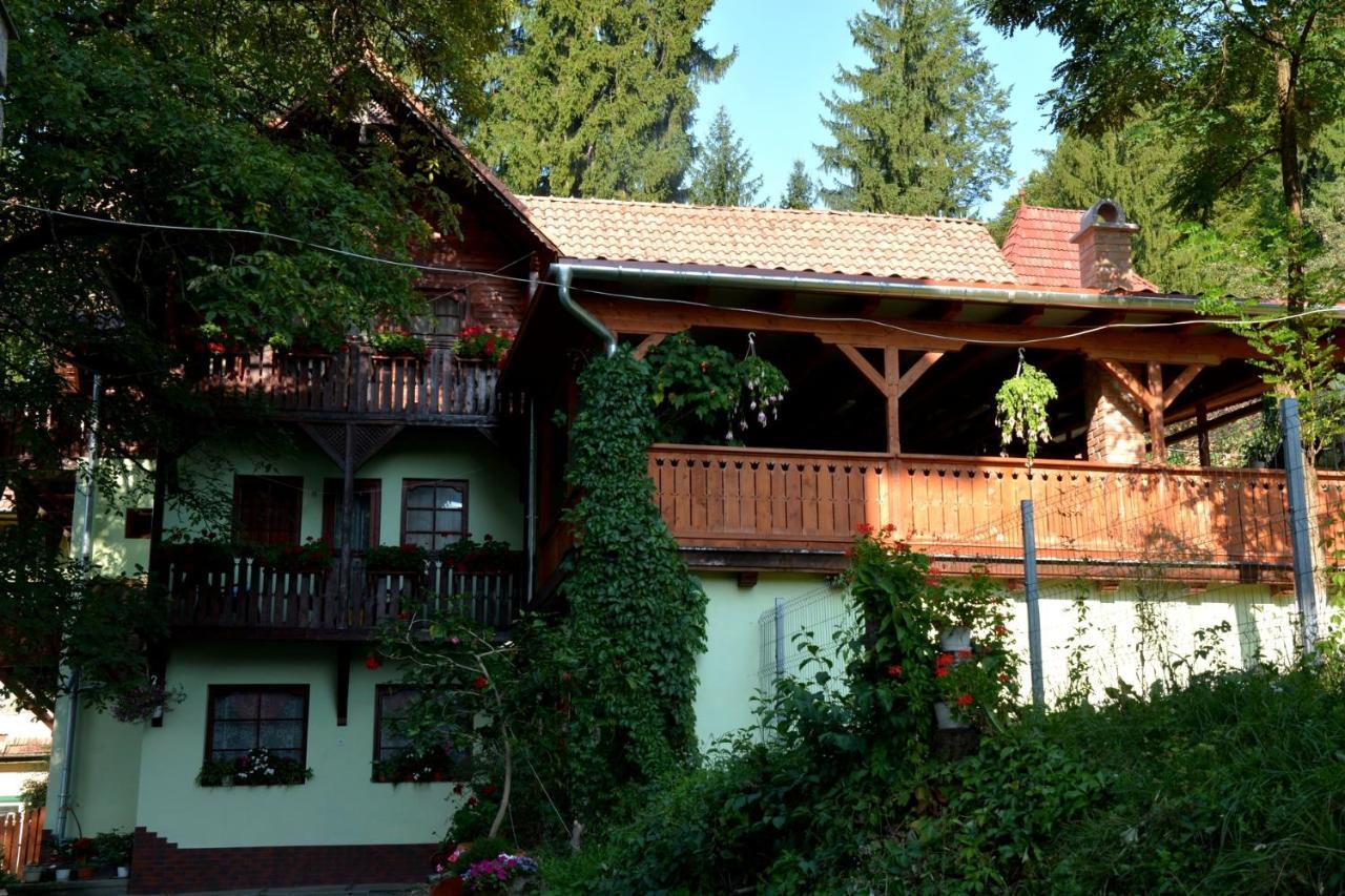 Vila Anna Sovata Esterno foto